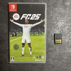 switch ソフト サッカー