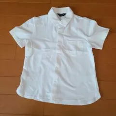 Item thumbnail for item 7d096766-e139-49db-87eb-71ecc2a16559