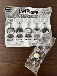 月島蛍　ハイキュー!! めじるしアクセサリー