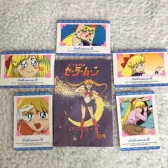 ウ美品 当時品 セーラームーン PPカード バンダイ カードダス 愛野美奈子