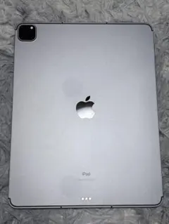 iPad Pro12.9インチ256G第5世代cellular スペースグレー