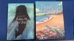 Item thumbnail for item 9e46bdca-f6de-4fd3-a691-250a75932d9d