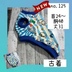 ⭐︎犬服⭐︎handmade ダックスさん用型紙使用 ⭐︎犬服⭐︎handmade ダックスさん用型紙使用 - メルカリ