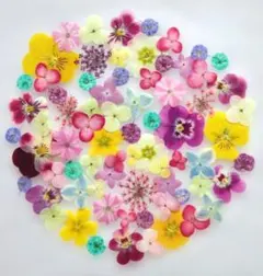 ＫＯＺＵ様 リクエスト 2点 まとめ商品