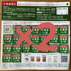 フジパン ミッフィー コットンバック2025