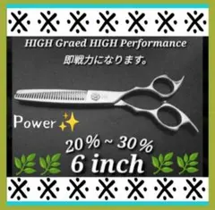 ドッグウェル トリミングシザーハサミセットDNA-69G 専用ケース付き