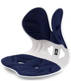 姿勢矯正椅子　バランスチェア 腰痛 椅子　骨盤矯正 猫背改善 椎間板ヘルニア予防