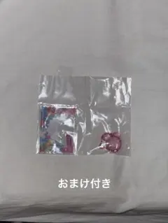 TWICE グミチャーム 【モモ・MOMO】