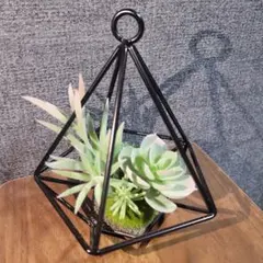 新品 観葉植物 インテリアのサムネイル