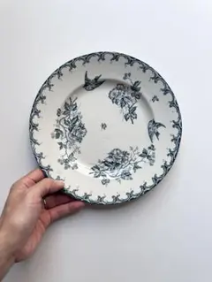 クレールフォンテーヌ 