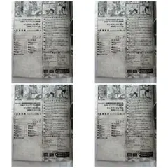 ヤングアニマル15号 えなこ 山本栞 直筆サインチェキプレゼント応募券