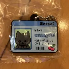 ZEROBASEONE ゼベワン キムジウン IDカード風ラバーチャーム