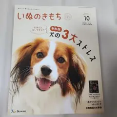 2026年いぬのきもち 10月号