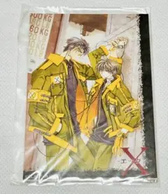 CLAMP　X　非売品　クリアファイル CLAMP展 xxxHOLiC シングルクリアファイル(B)の通販 by koi Shop｜ラクマ