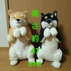 超レア！どでか！お茶犬〈ロン〉ぬいぐるみ - メルカリ
