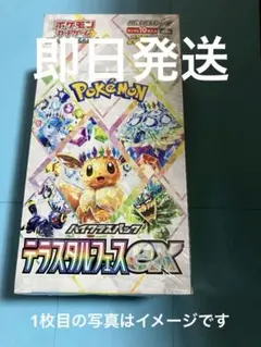 テラスタルフェスex