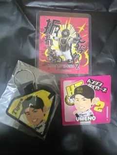 阪神タイガース　梅野隆太郎　ガラコロまとめ
