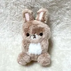 コリラックマとうさぎティータイム ココアウサギ ぶらさげぬいぐるみ マスコット
