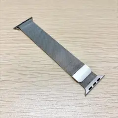 Apple Watch ミラネーゼループ シルバー
