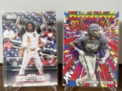 Item thumbnail for item 723bd63b-ecbf-44cc-9858-9eea980afeaa