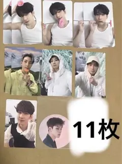 seventeen トレカ　sector17 carat盤　ウォヌ　まとめ売り