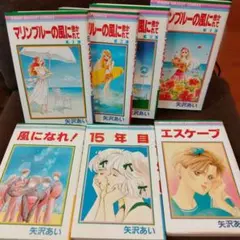 矢沢あい　全6作品セット 全巻セット】矢沢あい NANA他 6シリーズ 37冊セット - メルカリ