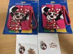 東京ディズニーリゾート ミニーマウス セット