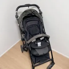 早い者勝ち コンビ スゴカルSwitch plus エッグショック ロッタAN