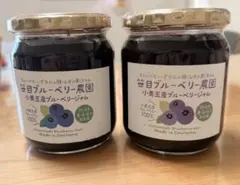笹目ブルーベリー農園 小美玉産ブルーベリージャム 500g 2個セットのサムネイル