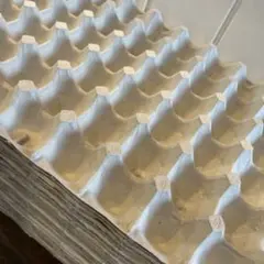 業務用 卵トレー 25枚＋3枚おまけ。合計28 紙製 卵ケース 養鶏