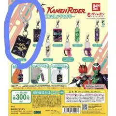 仮面ライダーシリーズ めじるしアクセサリー　カードデッキ