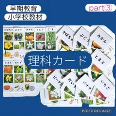 理科カード③ 家庭学習　早期教育　小学校教材　小学受験