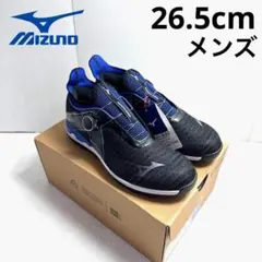 2025年最新】MIZUNO GOLF ゴルフ シューズ(男性用)の人気