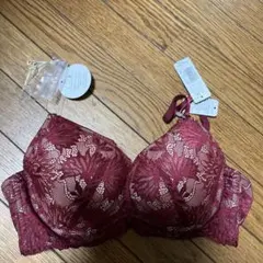 エメフィール★セクシーブラジャー