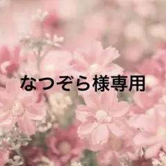 専用です