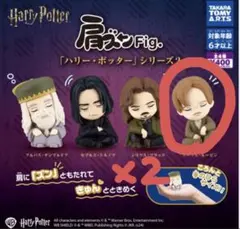 肩ズン　ハリーポッター2 ルーピン