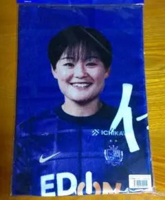 サンフレッチェ広島レジーナ 応援グッズ