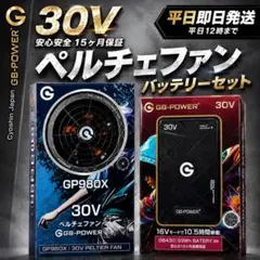長信ジャパン GB430 GP980X ペルチェファン バッテリーセット - メルカリ