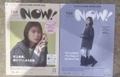 tgs2026 ビジネスデイ限定 日向坂 丹生明里 パンフレット