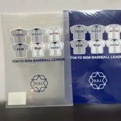 Mizuno 東京六大学野球リーグ クリアファイル2枚セット