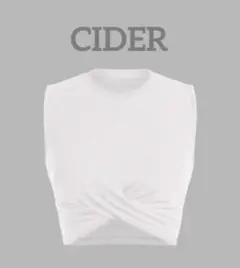 Item thumbnail for item 9a2dabc7-cf3c-4e9d-ba39-01c002afb8b4