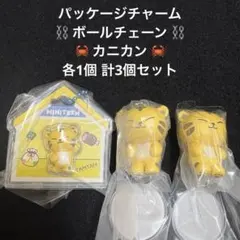 MINITEEN つまんでつなげてますこっと パッケージチャーム TAMTAMのサムネイル