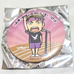 ハイキュー!! 缶バッジ 牛島