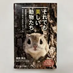 それでも美しい動物たち 亜南極からサバンナまで、写真で知る「生き方」のリアル