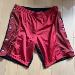 激レア NIKE ナイキ ショーツ 半パン バスケ jordan