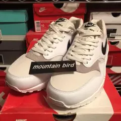 AM1 north supreme DUNK off-white JORDAN