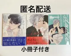恋をするつもりはなかった 特装版 限定 28P 小冊子 付き 鈴丸 みんた