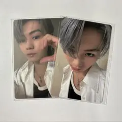 WILDBULE 鈴陽向