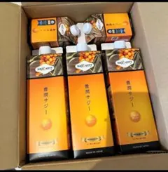 Item thumbnail for item ddba5508-aa8e-4419-bdde-7eeea6dc05d0