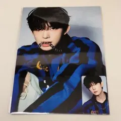 ゴヌ トレカ タレントカード